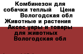 Комбинезон для собачки теплый  › Цена ­ 400 - Вологодская обл. Животные и растения » Аксесcуары и товары для животных   . Вологодская обл.